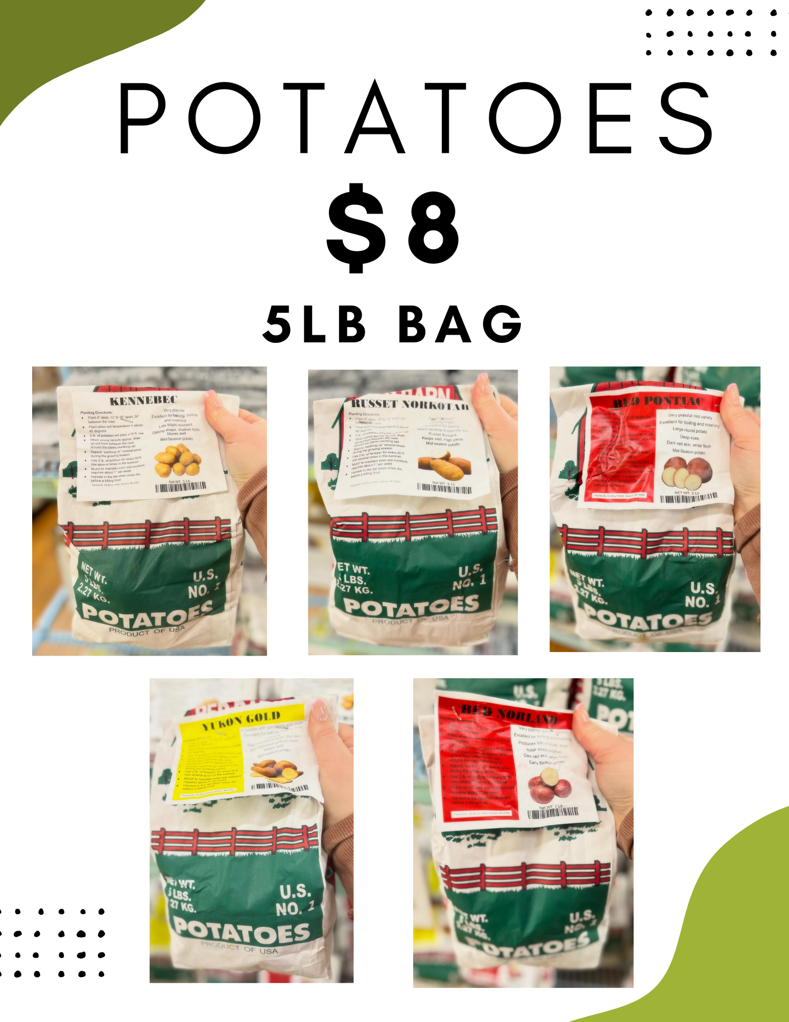 New Poultry feeds